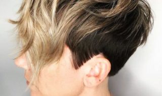 Pixie Bob Haarschnitte